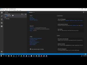 GCC & clang on windows with Visual Studio Code + bash terminal + debugging!