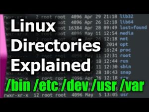 Linux File System/Structure Explained!