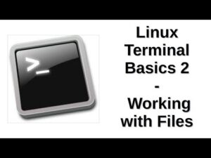 Linux Terminal Basics 2 | Working with Files