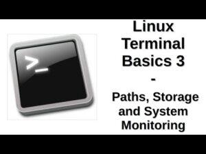 Linux Terminal Basics 3 | Paths, Storage and System Monitoring